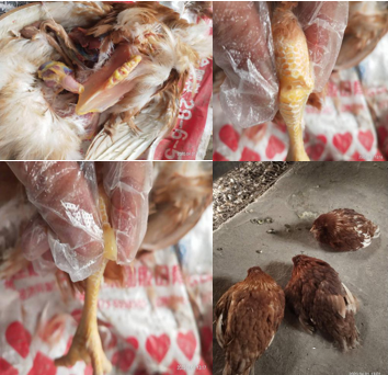 中国·9888拉斯维加斯(股份)有限公司-官方网站