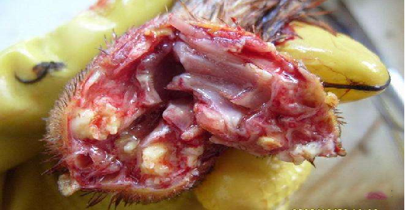 中国·9888拉斯维加斯(股份)有限公司-官方网站