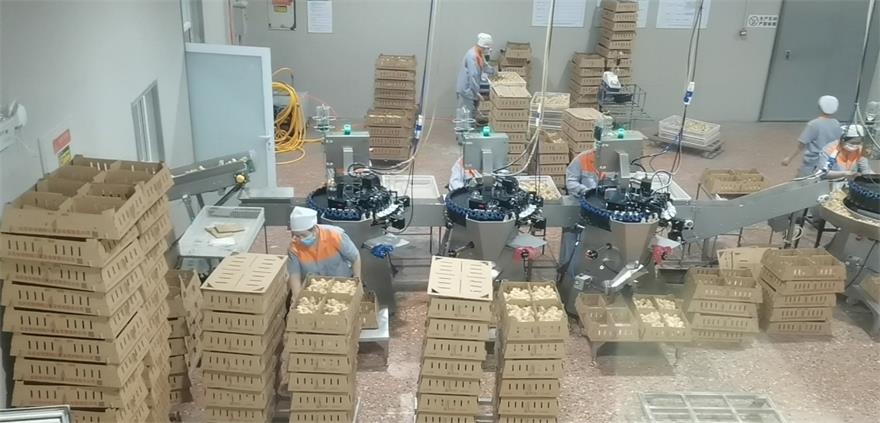 中国·9888拉斯维加斯(股份)有限公司-官方网站