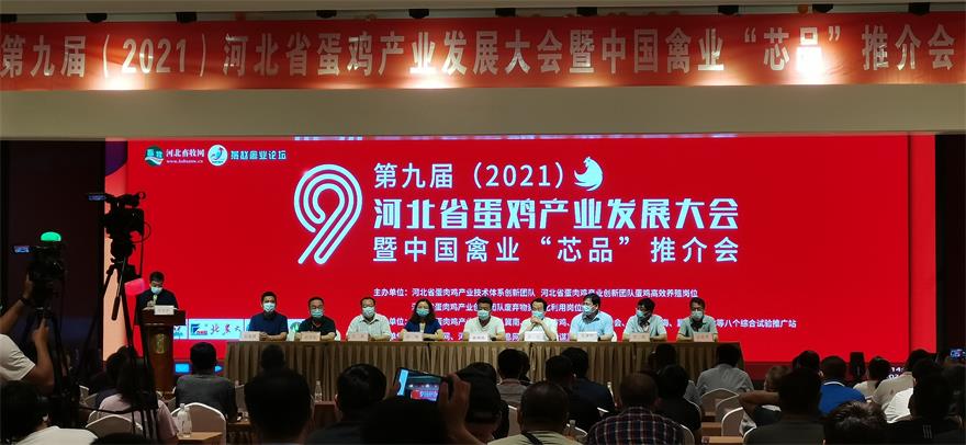 中国·9888拉斯维加斯(股份)有限公司-官方网站