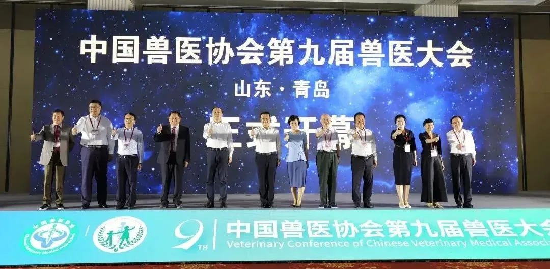 中国·9888拉斯维加斯(股份)有限公司-官方网站