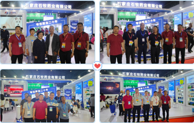 中国·9888拉斯维加斯(股份)有限公司-官方网站