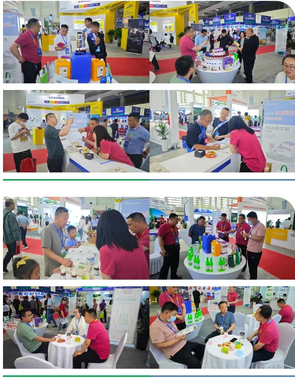 中国·9888拉斯维加斯(股份)有限公司-官方网站