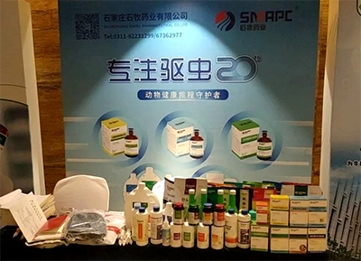 中国·9888拉斯维加斯(股份)有限公司-官方网站