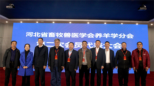 中国·9888拉斯维加斯(股份)有限公司-官方网站