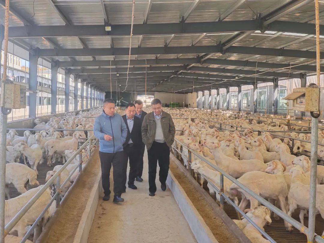 中国·9888拉斯维加斯(股份)有限公司-官方网站