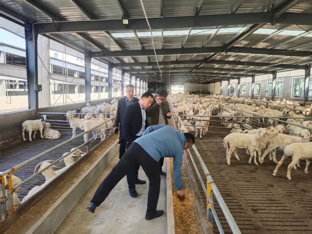 中国·9888拉斯维加斯(股份)有限公司-官方网站