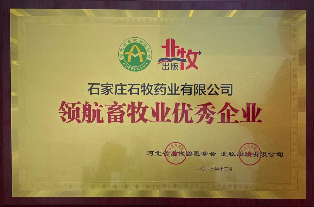 中国·9888拉斯维加斯(股份)有限公司-官方网站