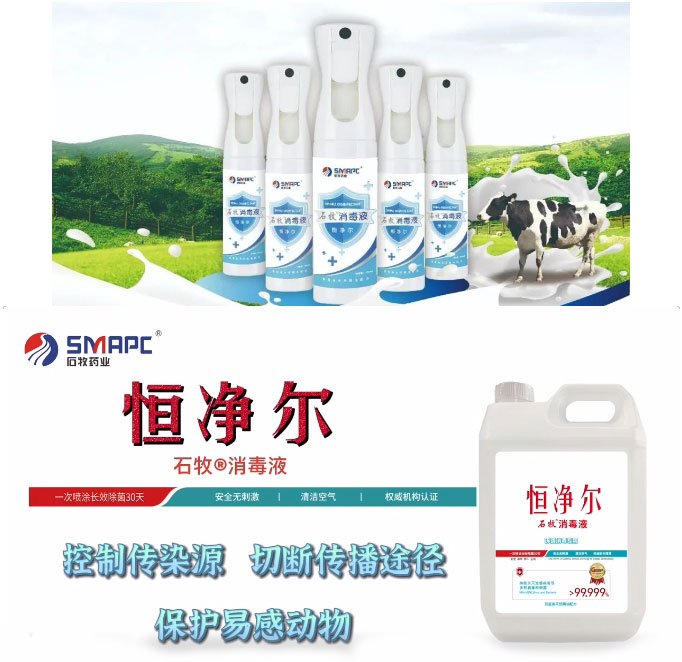 中国·9888拉斯维加斯(股份)有限公司-官方网站