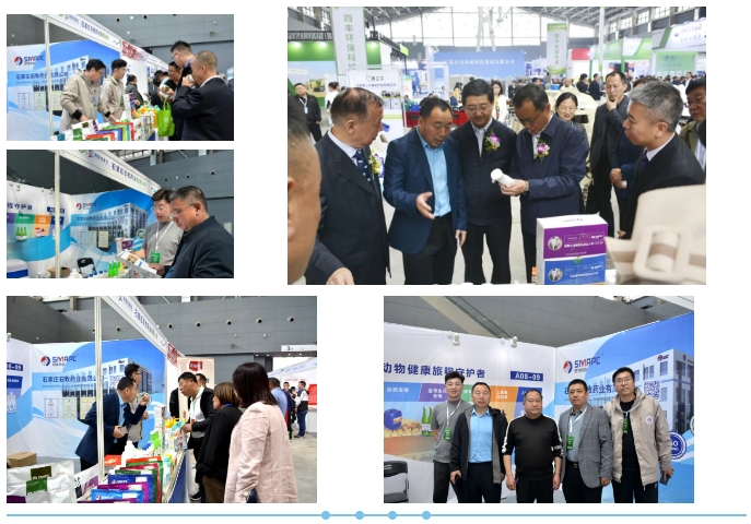 中国·9888拉斯维加斯(股份)有限公司-官方网站