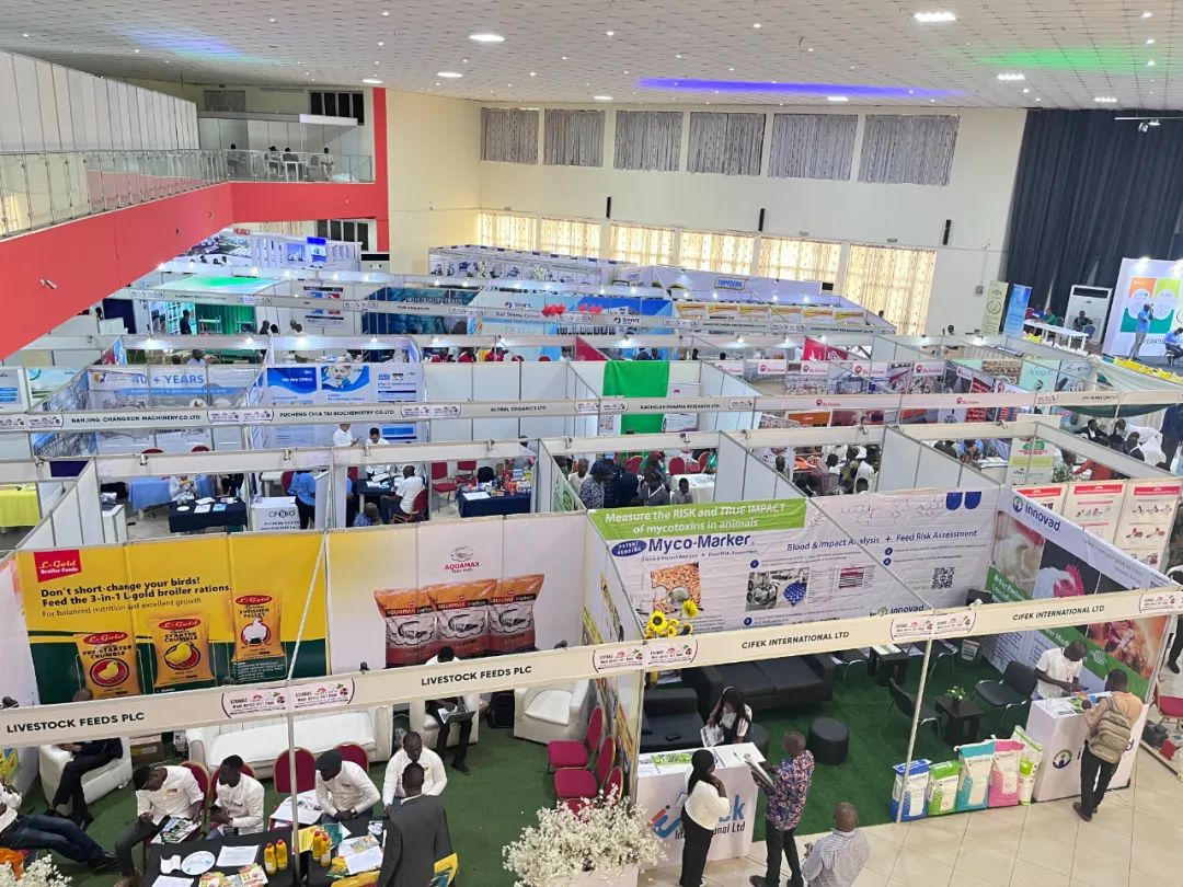 中国·9888拉斯维加斯(股份)有限公司-官方网站