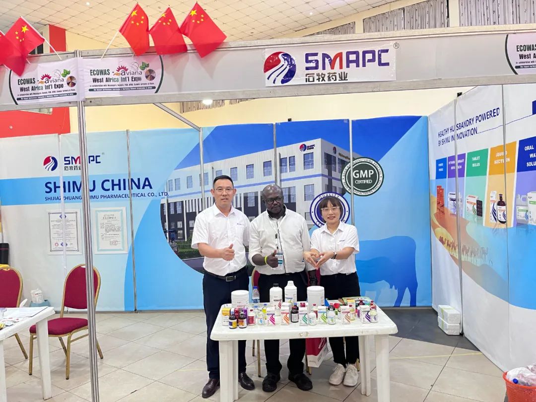 中国·9888拉斯维加斯(股份)有限公司-官方网站