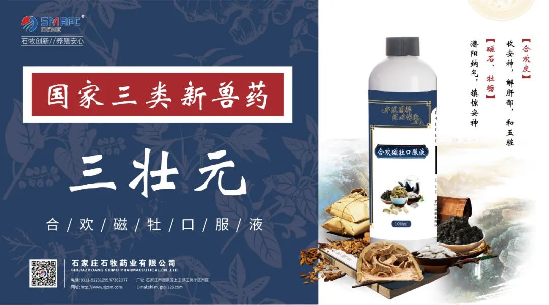 中国·9888拉斯维加斯(股份)有限公司-官方网站