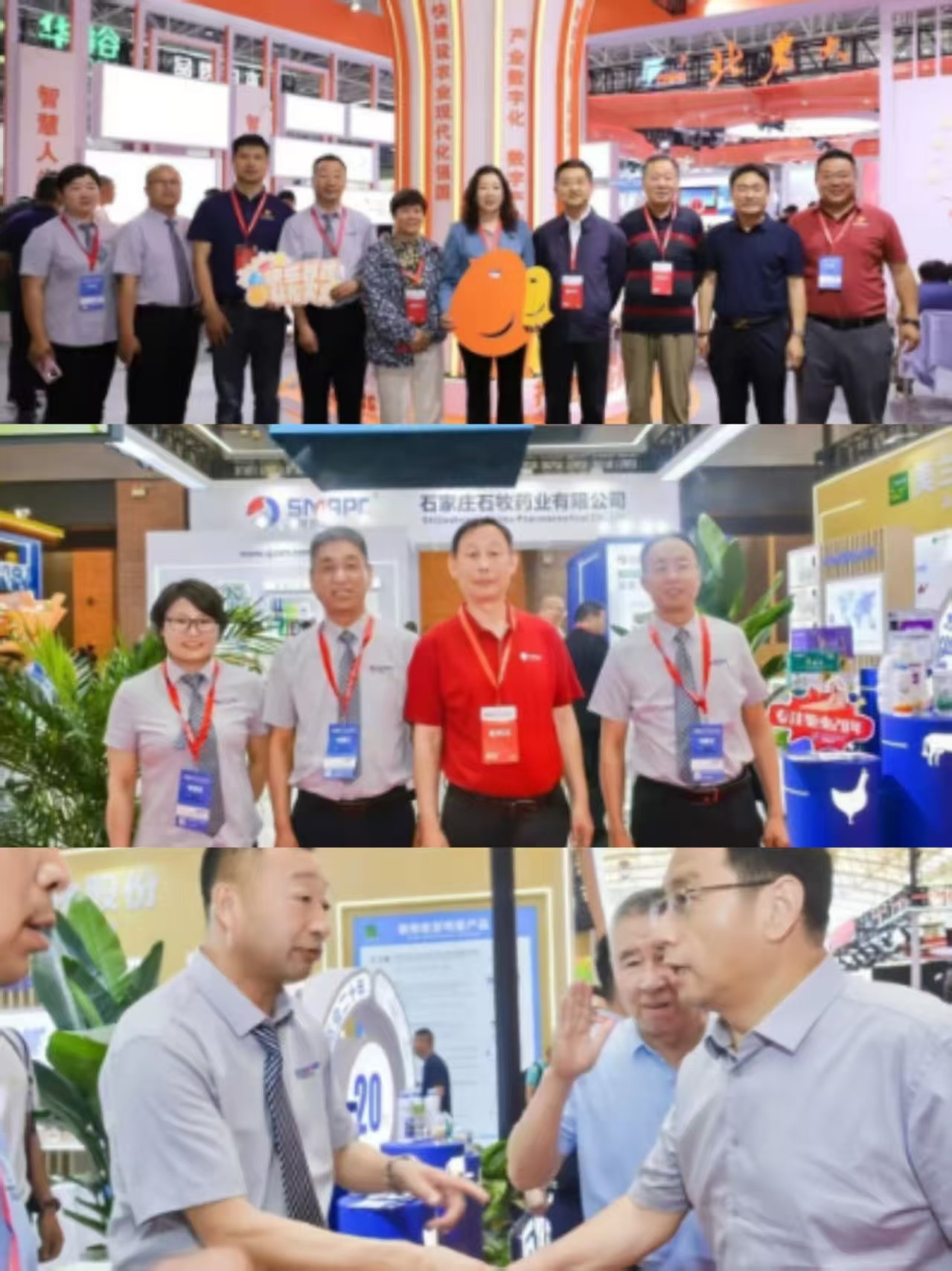 中国·9888拉斯维加斯(股份)有限公司-官方网站